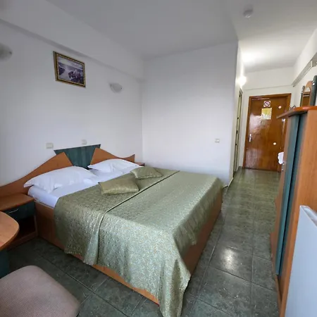 Hotell Viki 3*